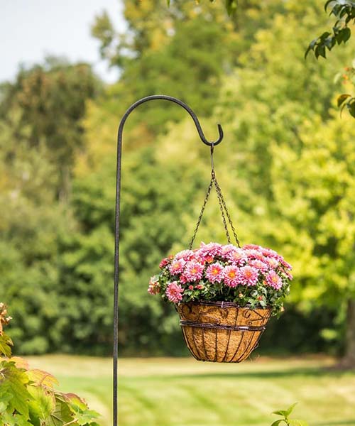 Shepherd Hook