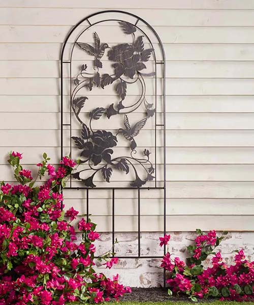 Trellis