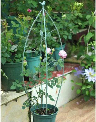 Creating Captivating Vertical Garden Landscapes with an Obelisk