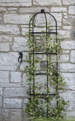 Obelisks in the Garden: A Vertical Delight