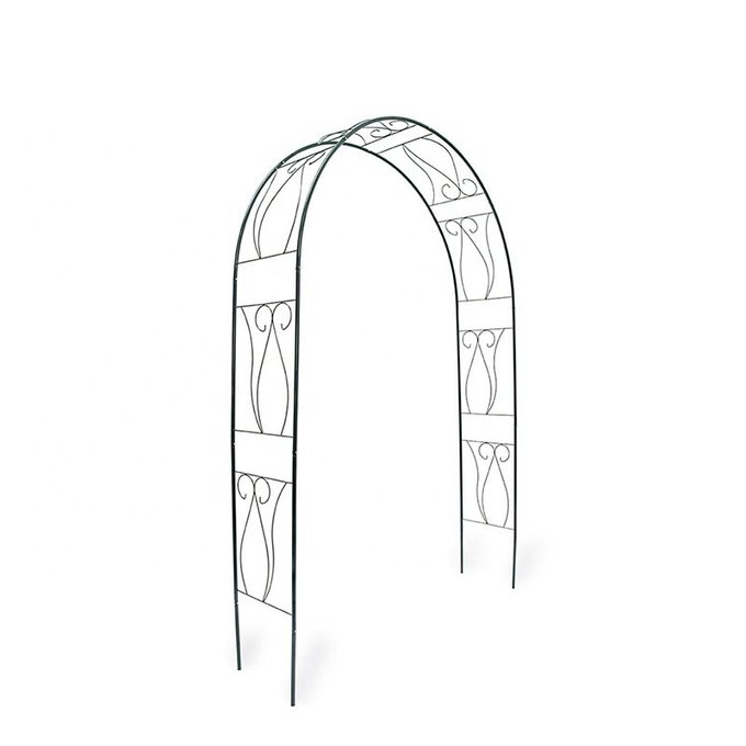 Enchanting Floral Arches with Iron Climbing Structures