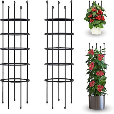 Captivating Floral Cages for Thriving Garden Displays