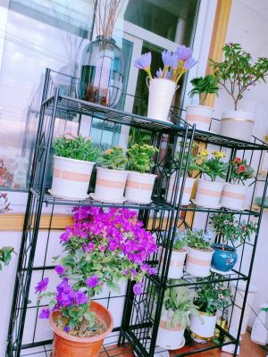 Youlite foldable plant stand